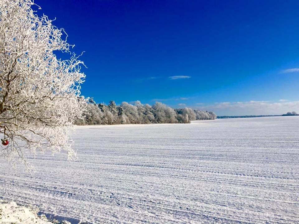 Ferienhaus Seensucht Göhren-Lebbin Buitenkant foto